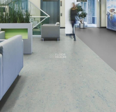 Forbo Marmoleum Decibel on Order 342935 bluemoon фото 2 | FLOORDEALER